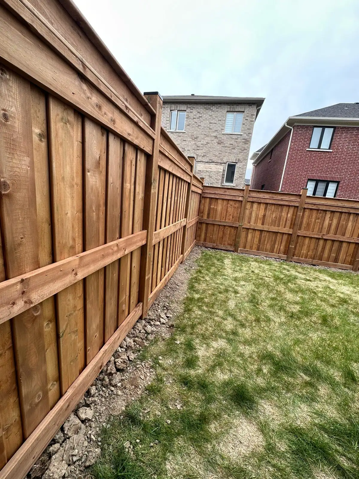 Pressure-treated privacy fence along a backyard